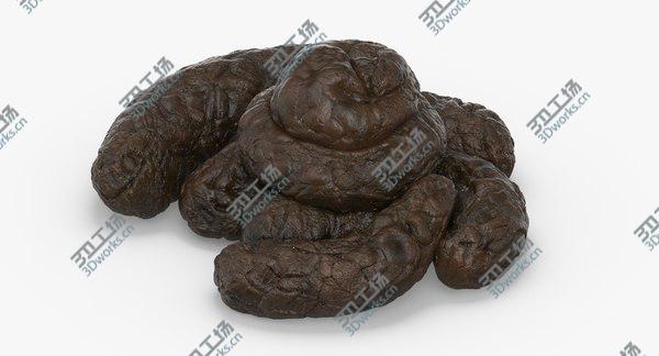images/goods_img/20210312/Turd Crap 3D model/2.jpg